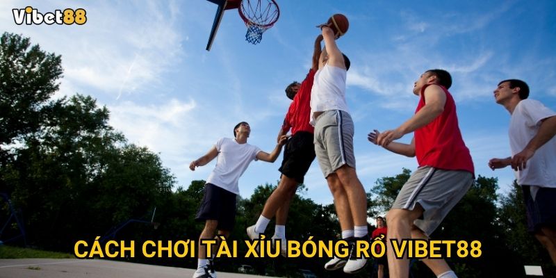 Cách chơi tài xỉu bóng rổ Vibet88