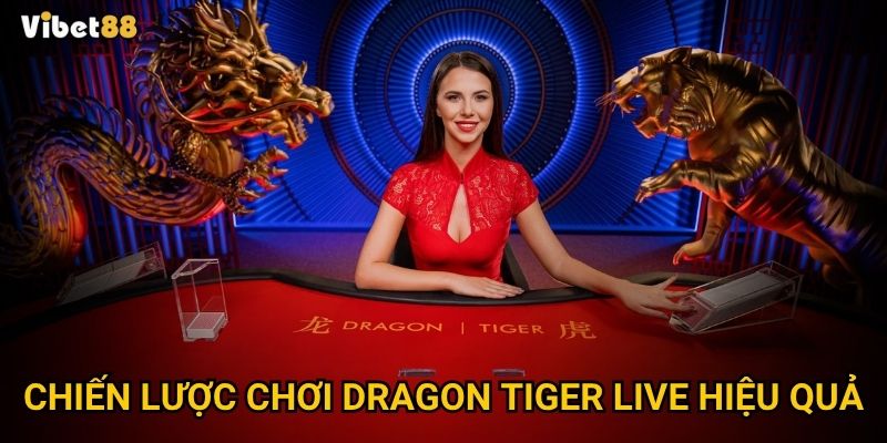 Chiến lược chơi dragon tiger live hiệu quả
