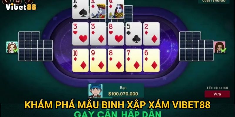 Khám phá mậu binh xập xám Vibet88