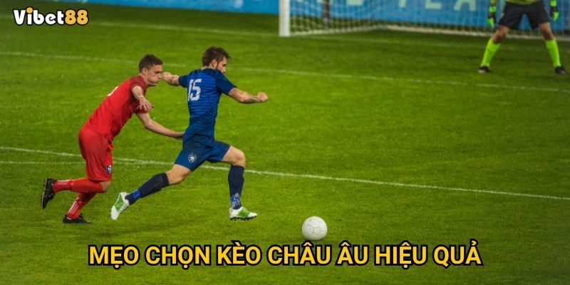 Mẹo chọn kèo châu Âu hiệu quả