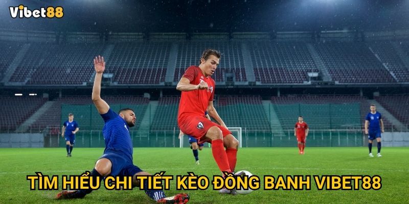 Tìm hiểu chi tiết kèo đồng banh Vibet88