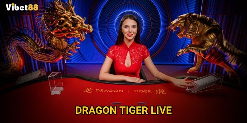 Dragon Tiger live tại Vibet88 – Trò chơi nhanh gọn, kịch tính khó cưỡng?